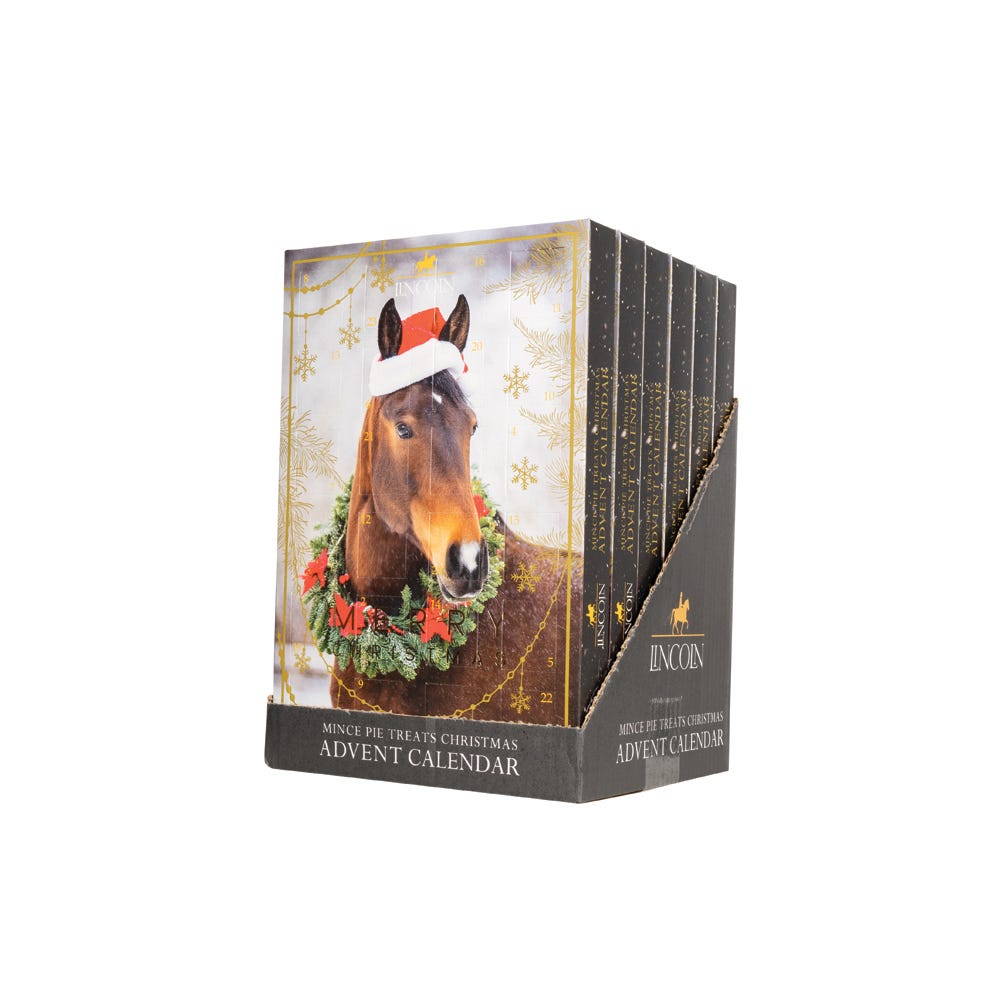 Lincoln Mince Pie Treats Christmas Advent Calendar image 2